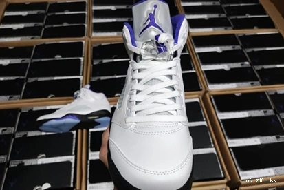DD0587-141 Fashionable CONCORD Air Jordan5 587 0730